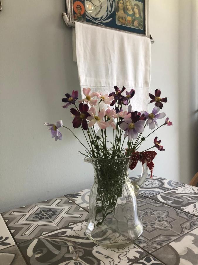 Kallirákhi Anastasia'S House מראה חיצוני תמונה